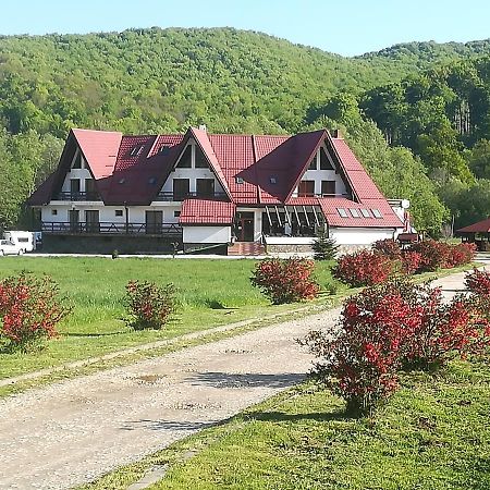 Pensiunea Rasnov Kültér fotó