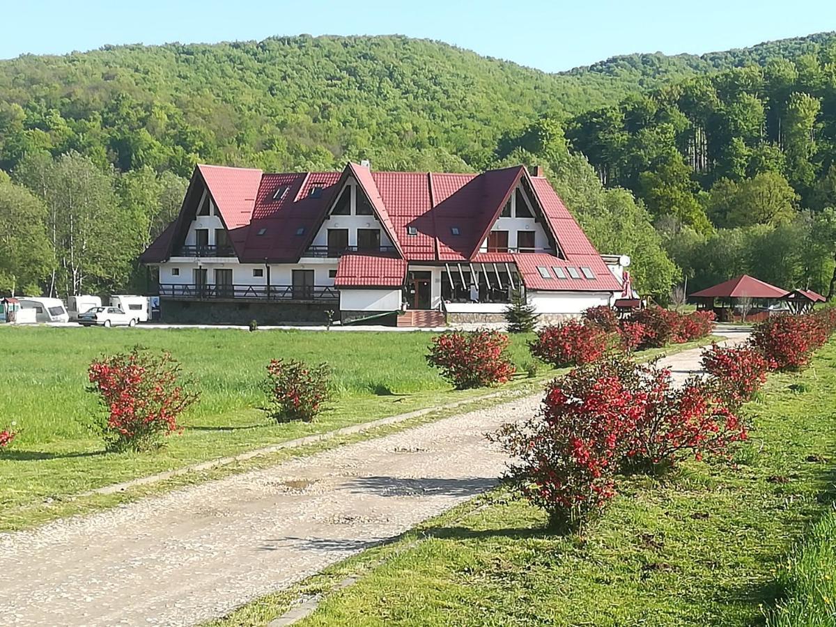 Pensiunea Rasnov Kültér fotó