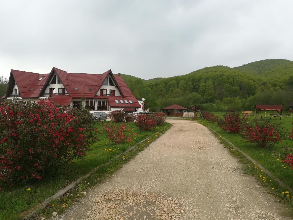 Pensiunea Rasnov Kültér fotó
