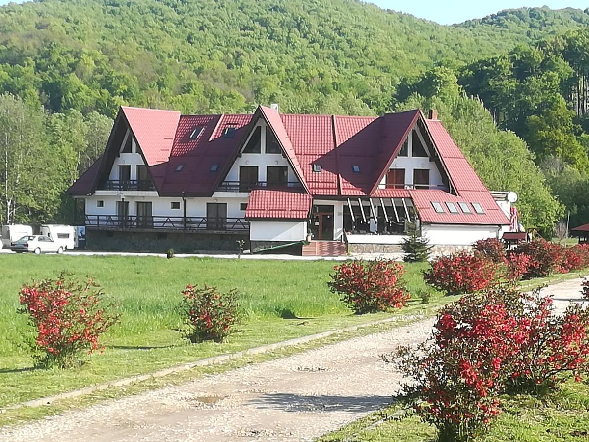 Pensiunea Rasnov Kültér fotó